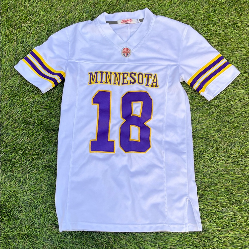 Minnesota Vikings Sports Jersey - Picture 2 of 5